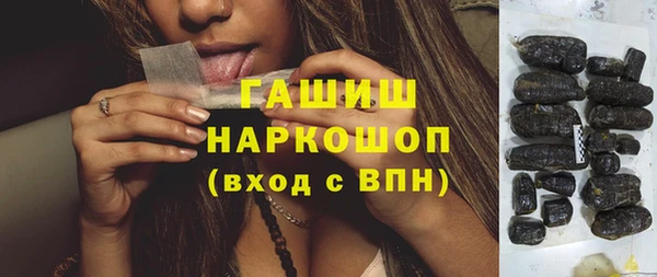 Альфа ПВП Горняк