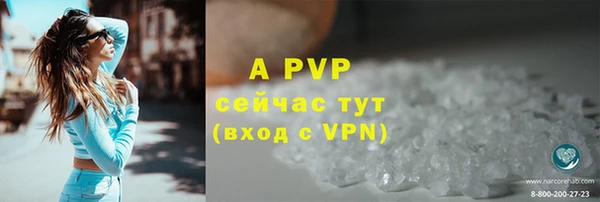 Альфа ПВП Горняк