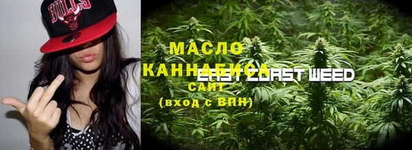 Альфа ПВП Горняк