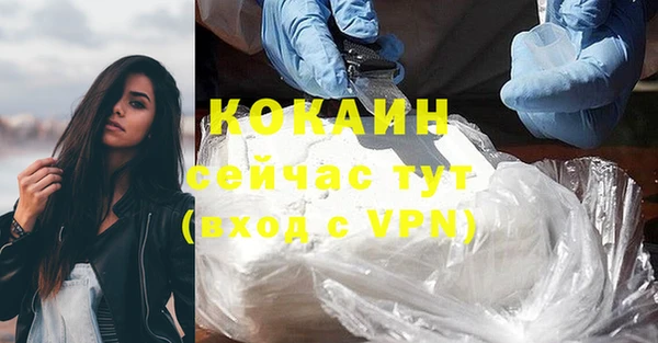 Альфа ПВП Горняк