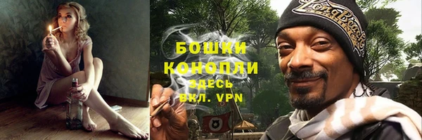 дживик Гусиноозёрск