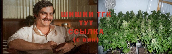 молекула духа Горно-Алтайск