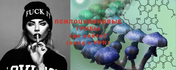 молекула духа Горно-Алтайск