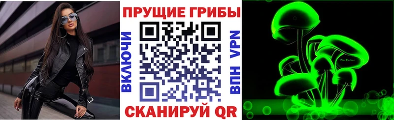 Псилоцибиновые грибы MAGIC MUSHROOMS  даркнет сайт  Гусь-Хрустальный 